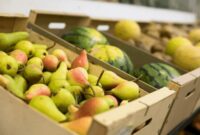 Leveraging Seasonal Demand to Boost Hardware Product Sales