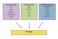 What Drives Purchasing Decisions in the Parenting Category