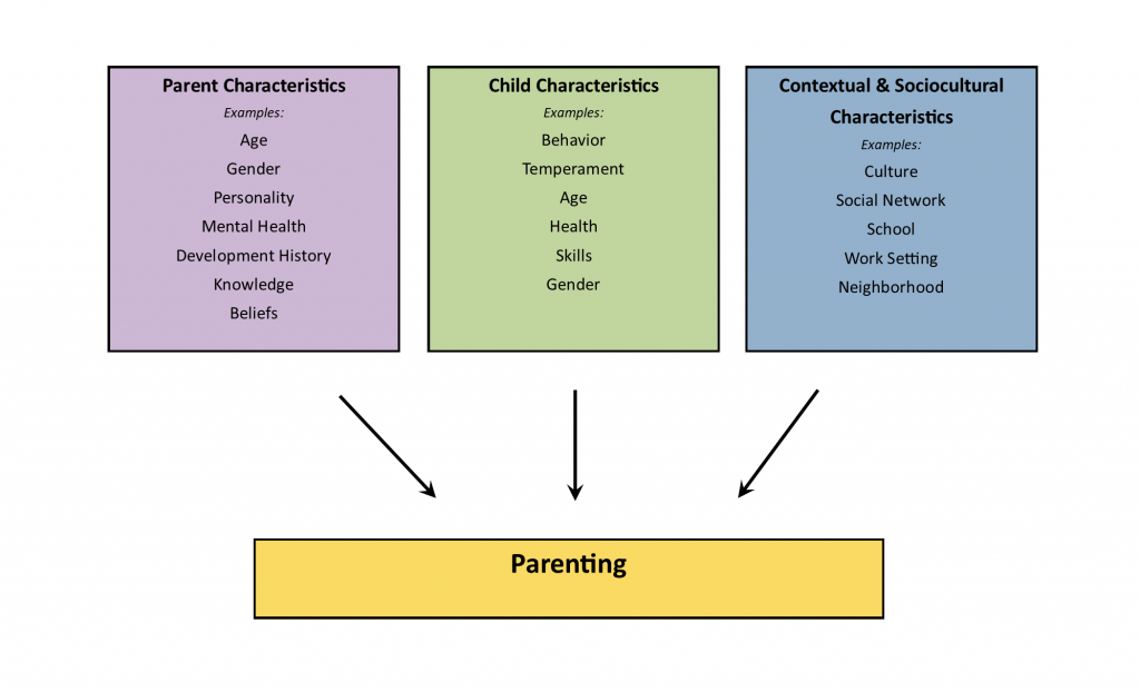 Influences on Parenting – Parenting and Family Diversity Issues What Drives Purchasing Decisions in the Parenting Category